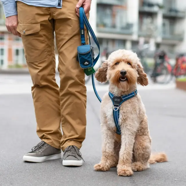 Dog Copenhagen Comfort Walk Air™ Sele - Lemon