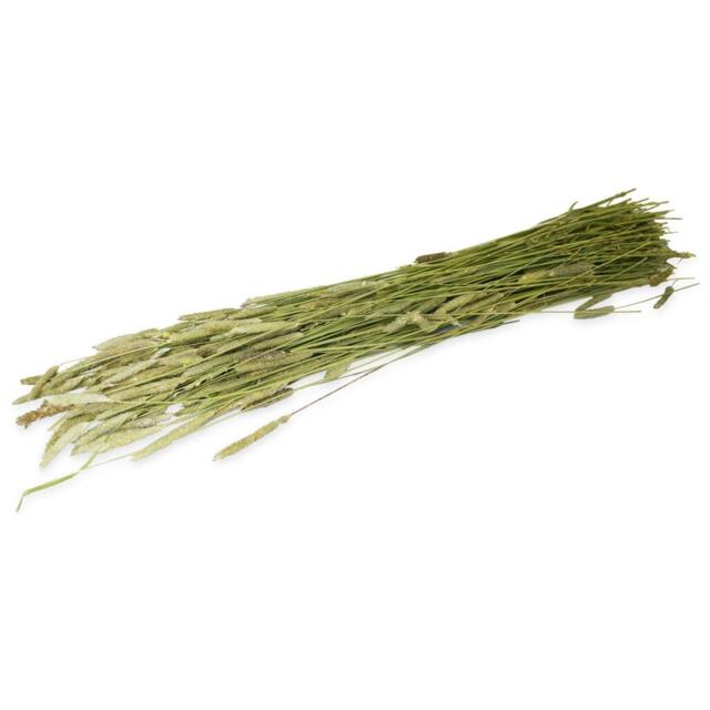 JR Farm Timothy høst 80g