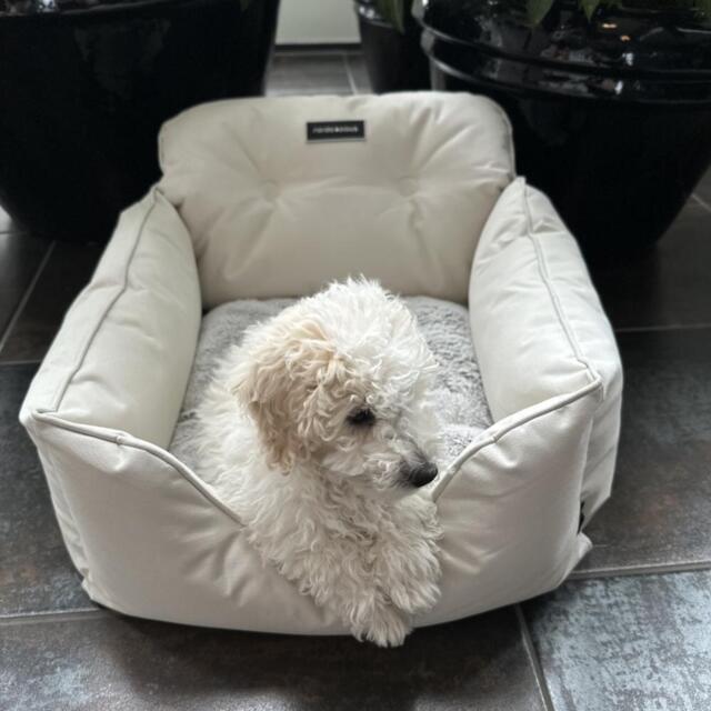 Nordic Paws Cozy Luksus Bilsæde – Beige