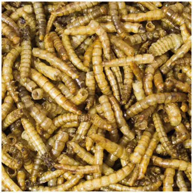 JR Farm Melorme i Spand - 400g