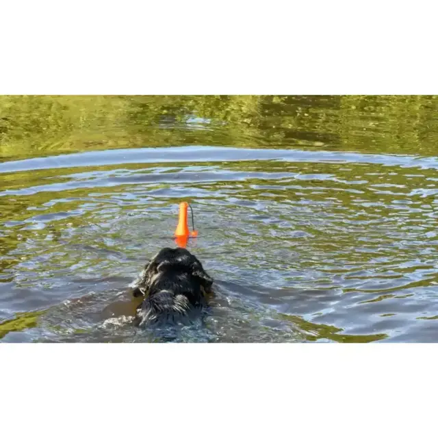 Dog Comets Bobber - Lighthouse
