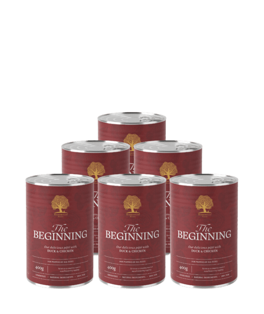 ESSENTIAL the BEGINNING PÂTÉ 6 x 400G