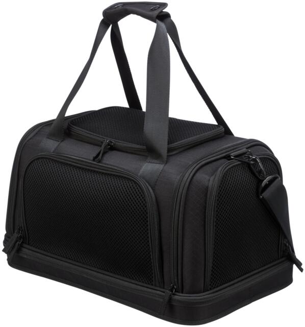 Plane airline carrier