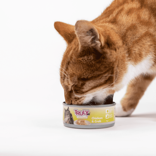 Truly Cat Vådfoder – Kylling & Krabbe 95 g