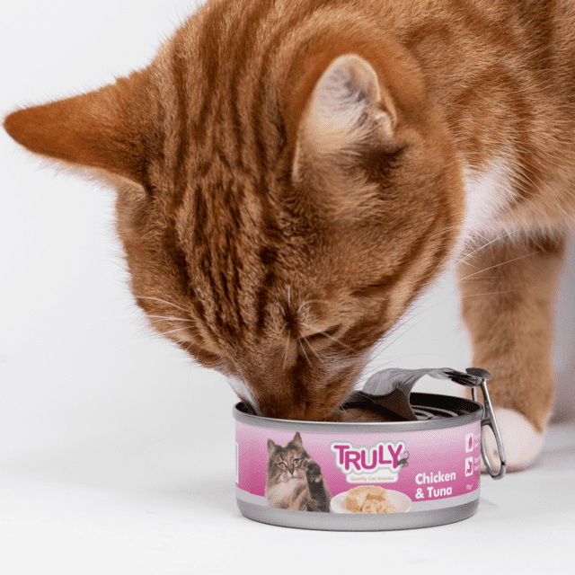 Truly Cat Vådfoder – Kylling & Tun 95 g