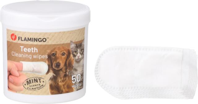 Tandrensende Finger Wipes med Mint – 50 stk.