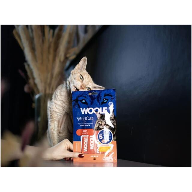 Woolf Wildcat Cream 5 stk, Beef + Shrimp Oil