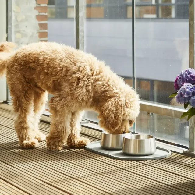 Dog Copenhagen Vega Skål - Petrol Blue