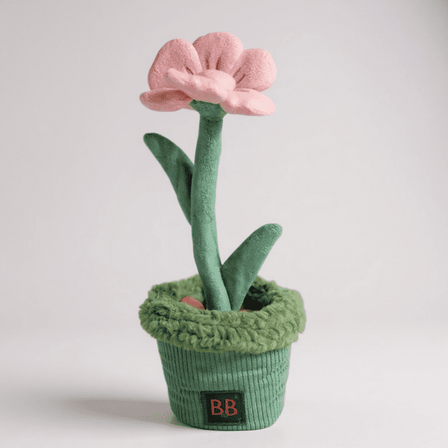 B&B Pawtanic Garden – Blomst (Snuseplante & Snusetæppe)