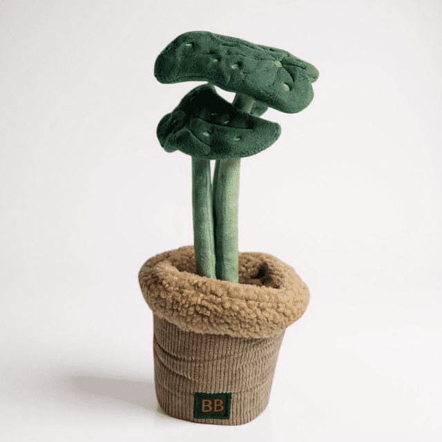 B&B Pawtanic Garden – Plante (Snuseplante & Snusetæppe)