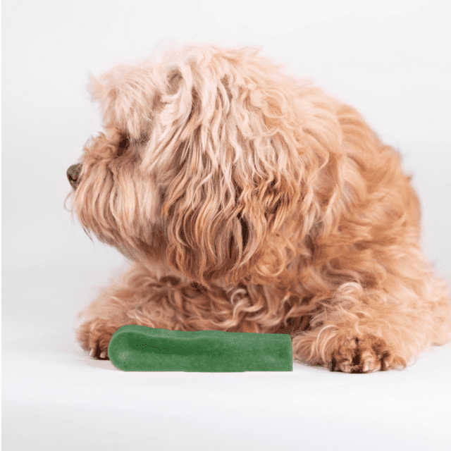 Tyggeben af yakost med mint – lang tyggetid til hunde (70–75 g, størrelse M)