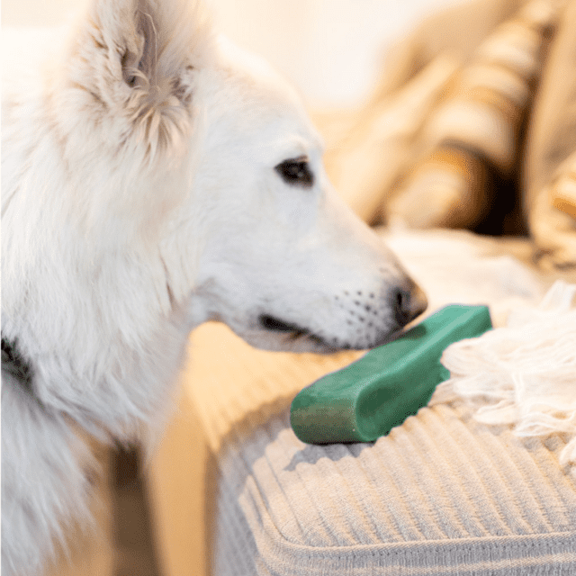 Tyggeben af yakost med mint – lang tyggetid til hunde (230–260 g, størrelse GIGANT)