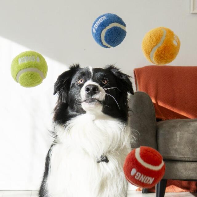 KONG Sport Softies Ball Assorted M | Blød hundebold uden pivelyd