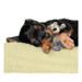 KONG WildKnots Bears XS | Hundelegetøj med indvendigt reb (OUTLET)