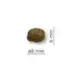 ARION Original Growth Fish Medium 12 kg