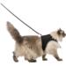Soft cat harness with line