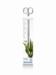 Tropica Plantesaks