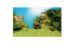 juwel baggrundsfolie Poster 1