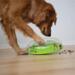 Nina Ottosson Wobble bowl