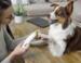 Oster electric nail file