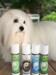 B&B Hundefrisøren's Professional moisturizing conditioner - Several sizes