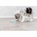 Junior Lick Plate Medium/Large