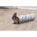 Sunny cuddly tunnel