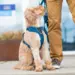 Dog Copenhagen Comfort Walk Pro Harness - Ocean Blue