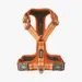 Dog Copenhagen Comfort Walk Air Harness - Orange
