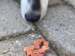 Woolf Duck Chunkies 100g
