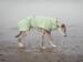 Paikka Drysuit 2Go, Sage