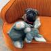 Kong Comfort Kiddos jumbo Elephant Xl