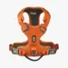 Dog Copenhagen Comfort Walk Pro Harness - Orange
