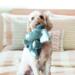 KONG Comfort Kiddos elefant XS