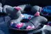 CoolPet's Ring o' Sharky Flower
