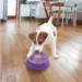 Kong Licks Spinz S 15x15x4 cm