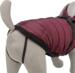Trixie Pirou vinterjakke med hundesele - Sangria