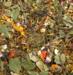 JR Farm Field herbs 200g