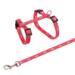 Rabbit harness with great colors and motif. With Line