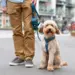 Dog Copenhagen Comfort Walk Air™ Sele - Lemon