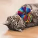 Kong Cat Active Scrunchie