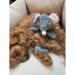 Nordic Paws Legetøj Knitre Mus - 20cm