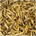JR Farm Melorme i Spand - 400g