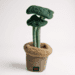 B&B Pawtanic Garden – Plante (Snuseplante & Snusetæppe)