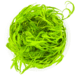 1-2 Grow Najas guadalupensis ‘Guppy Grass’