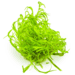 1-2 Grow Najas guadalupensis ‘Guppy Grass’