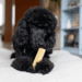 Yaki Peanutbutter L 110–120 g vegetarisk tyggeben med peanut til hund