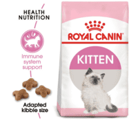 Royal Canin Kitten 10 kg tørfoder til killinger 1–12 måneder