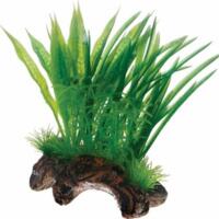 Flora Root 1