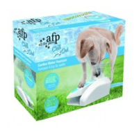 Hunde Springvand til haven